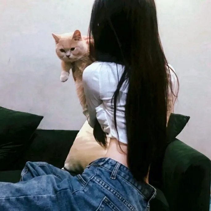 我们约会吧2012